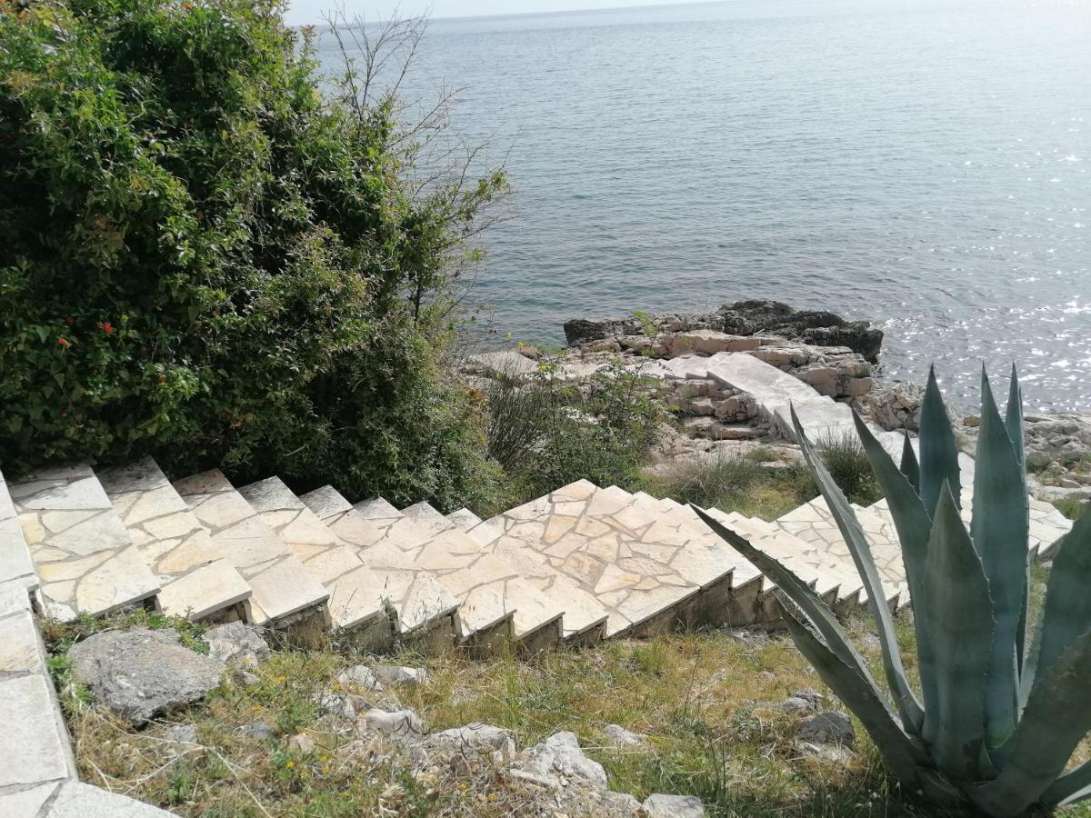Apartman Marinkovic Dobra Voda Exterior foto