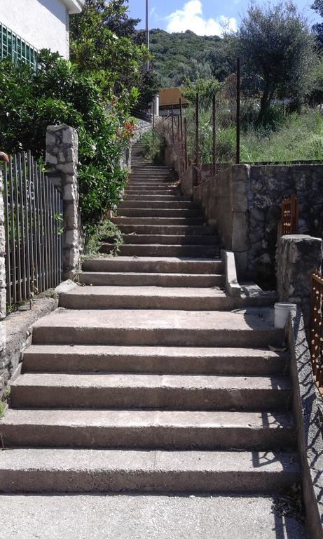 Apartman Marinkovic Dobra Voda Exterior foto