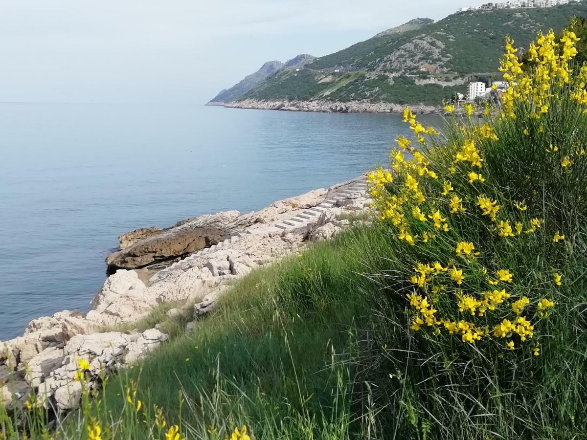 Apartman Marinkovic Dobra Voda Exterior foto